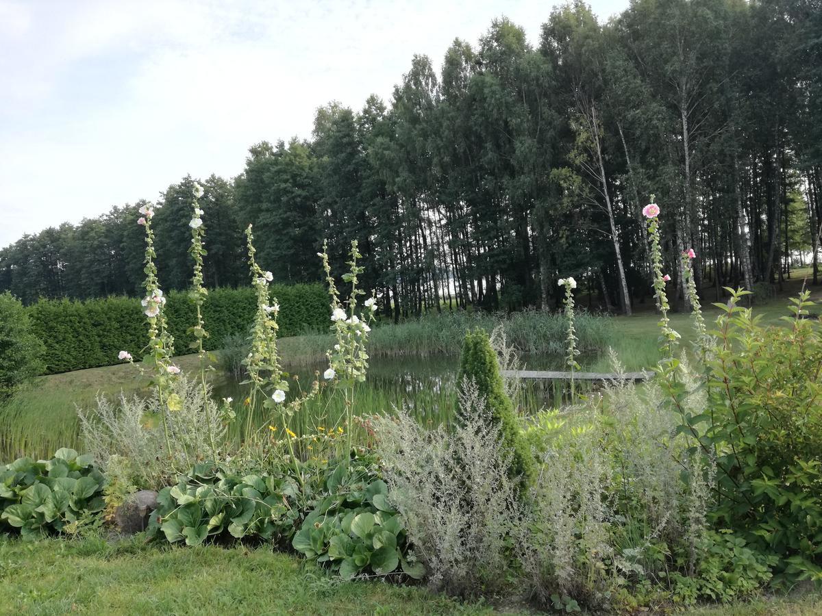 Lakeshore House Dvarcenai  Buitenkant foto